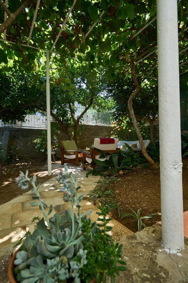 Aspidistra Shadow Apartment Dubrovnik Exterior foto