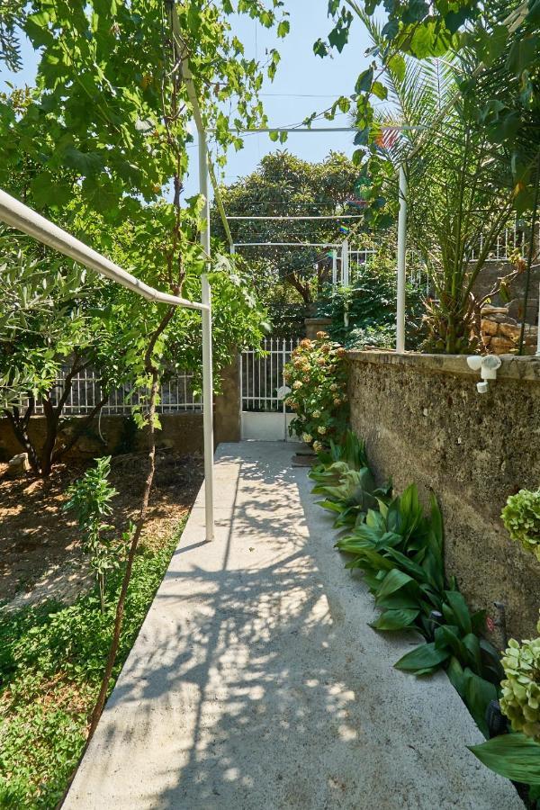 Aspidistra Shadow Apartment Dubrovnik Exterior foto