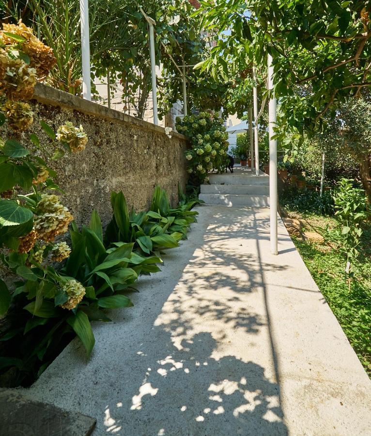 Aspidistra Shadow Apartment Dubrovnik Exterior foto